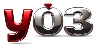 y03